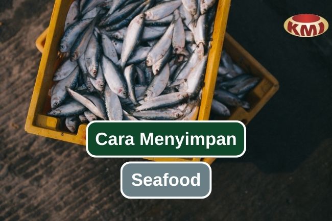 Begini Cara Yang Benar Untuk Menyimpan Seafood